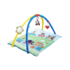 Nuby Activity Play Gym